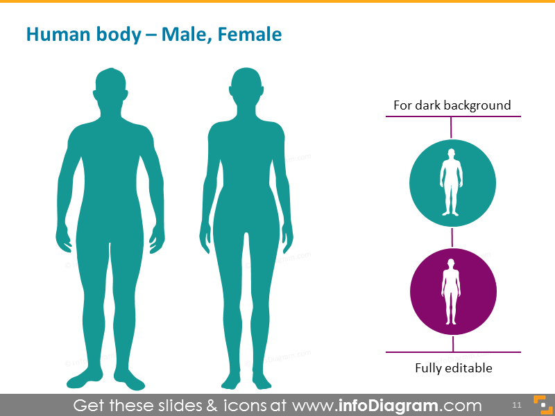 Infographics Human Body Parts Organ Medical Male Female PowerPoint