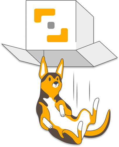 Error Image